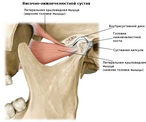 вивих