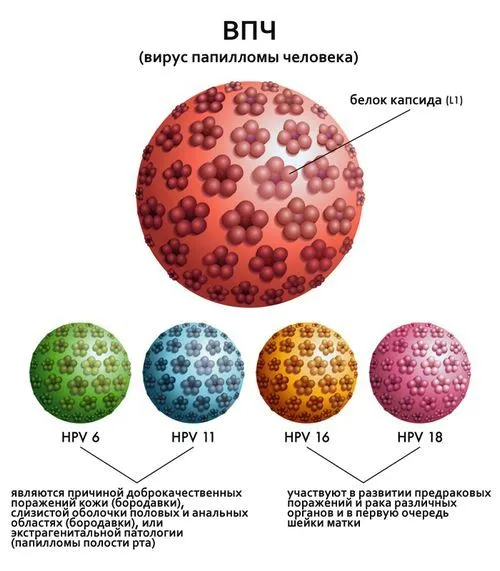 як швидко вилікувати бородавки на руках