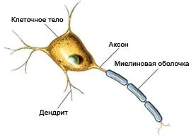 як лікувати епілепсію уві сні