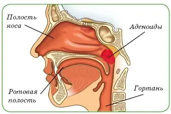 нежить