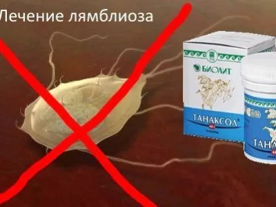 Як виявити лямблії в організмі? як лікувати лямбліоз у людини