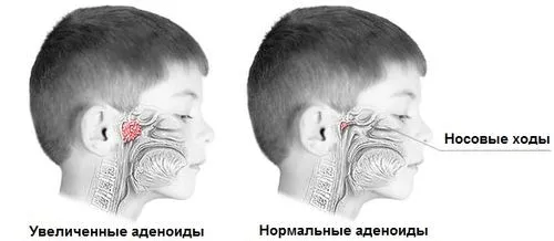 інтернет фітоклініки народна медицина.