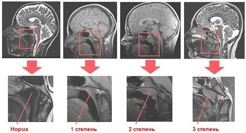 інтернет фітоклініки народна медицина.