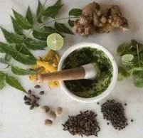 як лікувати гастрит і виразку шлунка народними засобами