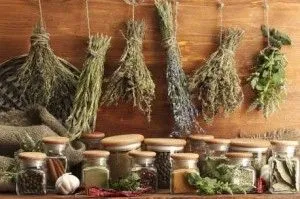 лікування дисбактеріозу кишечника народними засобами