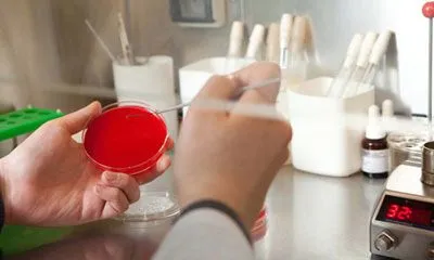 як лікувати кандидоз бронхів