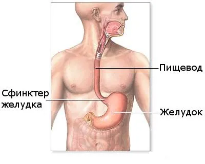 Чи потрібно лікувати печію чи потрібно лікувати печію