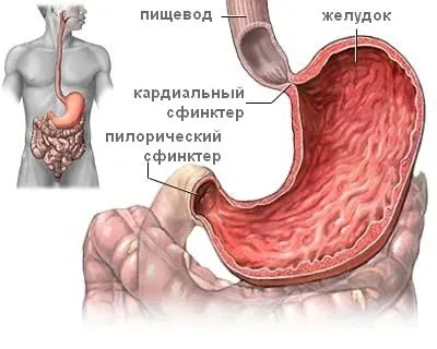 Чи потрібно лікувати печію чи потрібно лікувати печію
