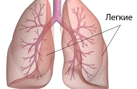 як лікувати кісту легені