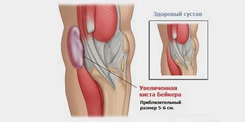 діагностика