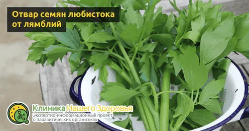 лікувати глисти народними засобами