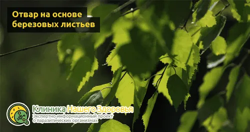 лікувати глисти народними засобами