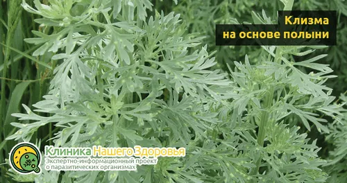 лікувати глисти народними засобами