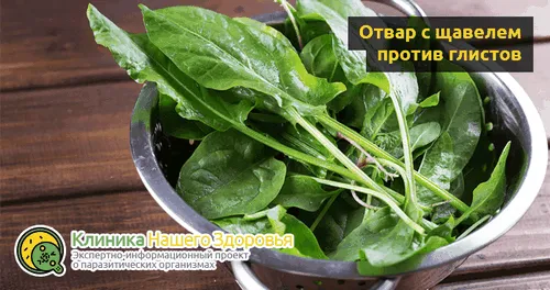 лікувати глисти народними засобами