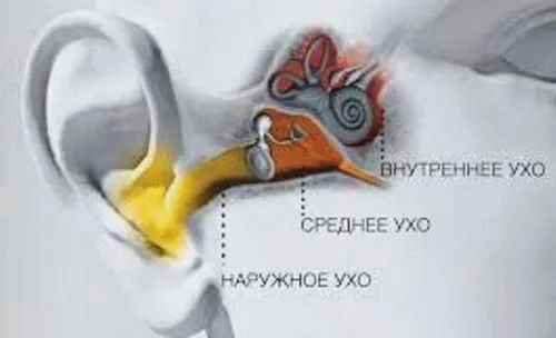 лікування отиту народними засобами в домашніх умовах