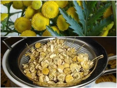 як лікувати глисти полином
