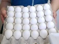 ніж лікувати отруєння яйцями