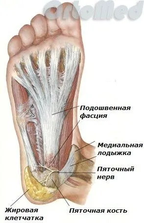 як лікувати розрив фасції