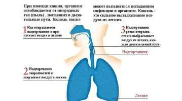 як лікувати ГРВІ кашель