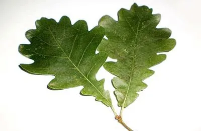 як лікувати псоріаз в домашніх умовах
