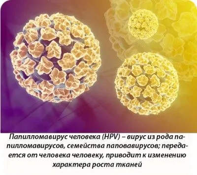 як вивести вірус папіломи з організму