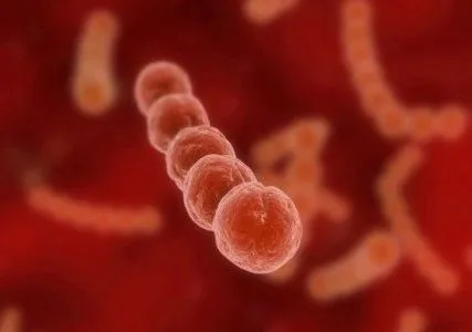 як лікувати стрептодермії при вагітності