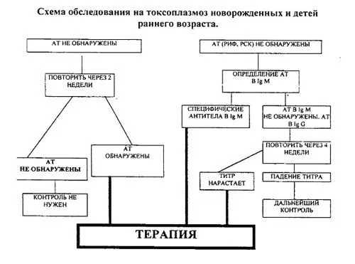 як лікувати токсоплазмоз у дітей