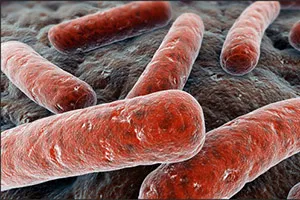 A tuberkulózis a vese - Tünetek, okok, diagnózis, esetleges komplikációk és a megelőzés