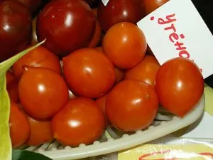 Tomate - descrierea Rățușca și caracteristicile soiului, tomate foto, în special în creștere