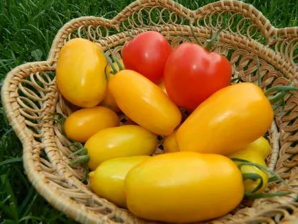 Tomate varietate de banane caracteristici, avantaje și dezavantaje