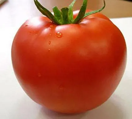 Descrierea de tomate Linda a două specii cu același nume