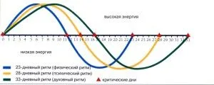 менструальним циклом