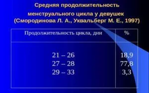 менструальний цикл
