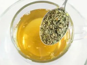 жіночий організм