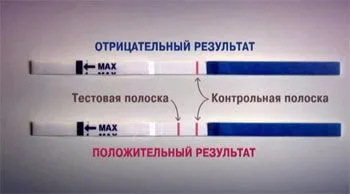 Чому місячні затримуються на тиждень або інший термін (місячні) на скільки днів можуть затримуватися місячні