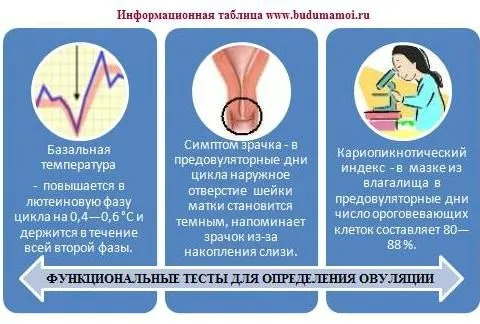жіноча консультація