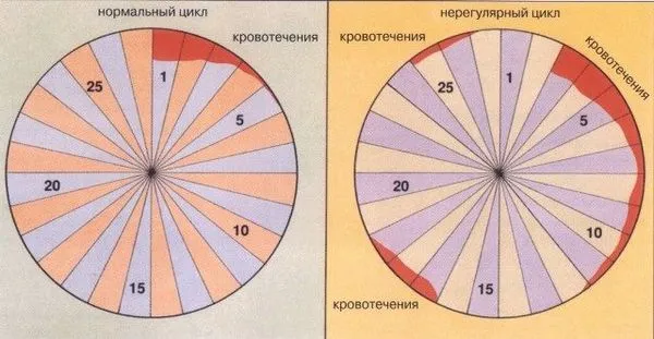 менструації