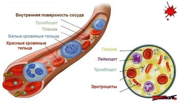 застосування