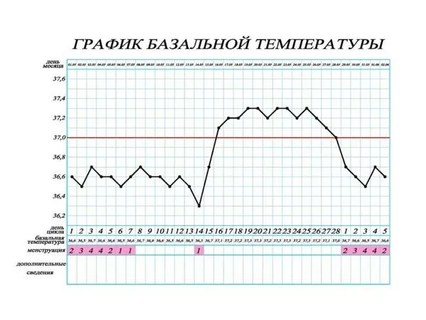 менструального циклу