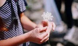 як зупинити місячні народними методами