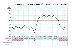 менструальним циклом