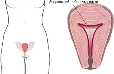 місячні