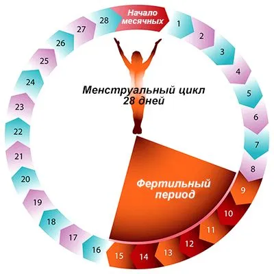місячних при