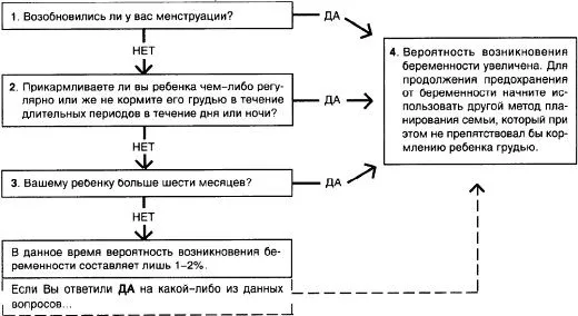 місячні при годуванні груддю