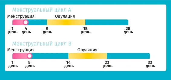 Термін місячних, перший день менструації - термін першого менструального циклу (вважати) перший