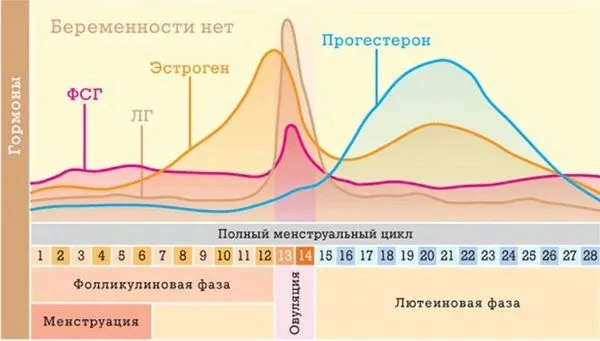 місячні