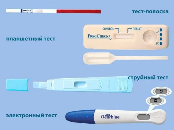 місячних