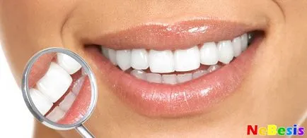 dinți de curățare cu ultrasunete la câini și pisici