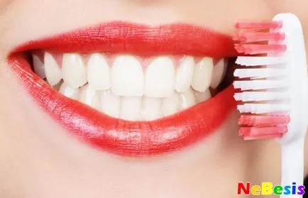 dinți de curățare cu ultrasunete la câini și pisici