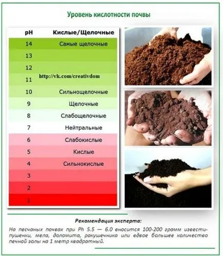 Javítja a talaj termékenységét